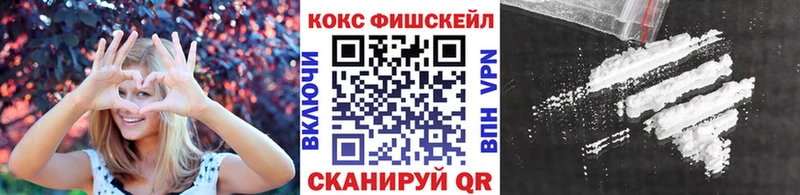 ссылка на мегу как войти  купить наркотики цена  Костерёво  Cocaine Эквадор 